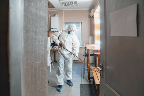 Best Basement Mold Removal  in Port Huron, MI