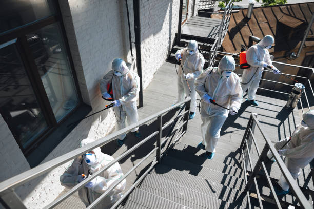 Professional Mold Removal in Port Huron, MI