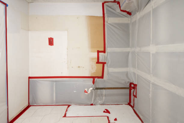 Best Mold Damage Restoration  in Port Huron, MI
