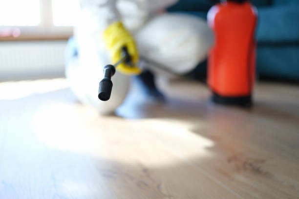 Best Mold Remediation for Healthcare Facilities  in Port Huron, MI