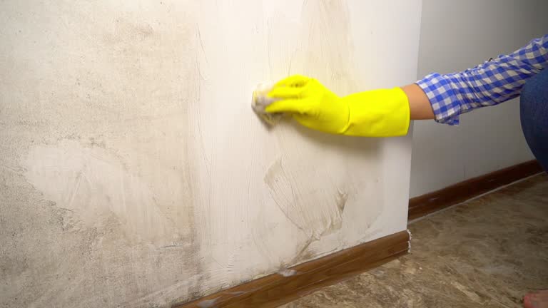 Best Post-Construction Mold Inspection  in Port Huron, MI